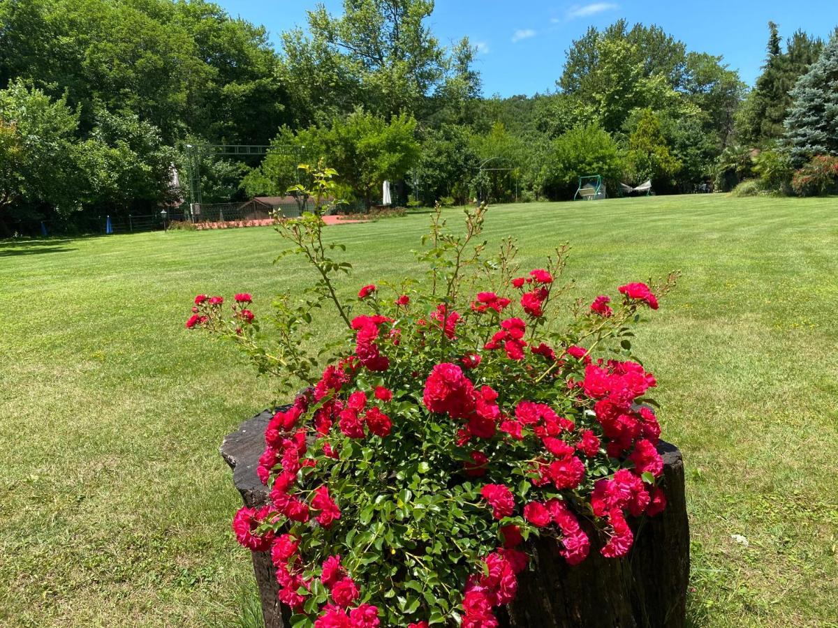 Sarikonaklar Garden Village Ağva Екстериор снимка