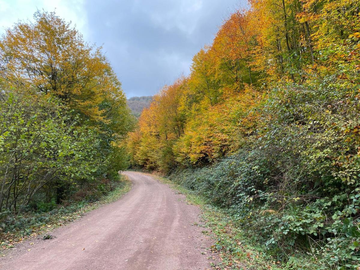 Sarikonaklar Garden Village Ağva Екстериор снимка
